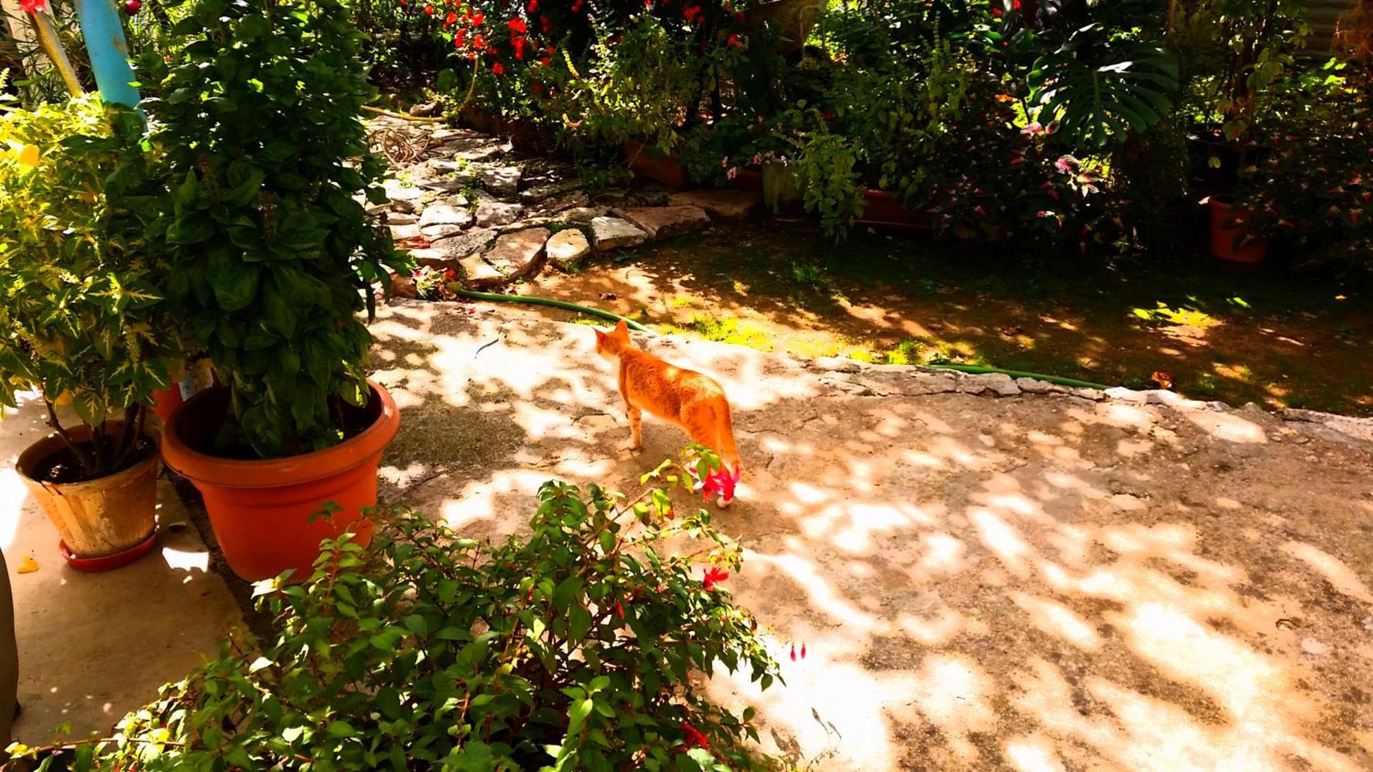 The Grandfather'S Room Himare Exterior foto